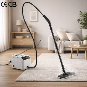 2200W 25s Fast Heat Digital Display Steam Cleaning Machine with Wheels