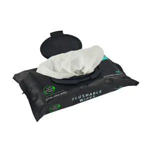 48pcs Free Sample Natural Water Disposable Flushable Wet Wipe for Adults Cleaning