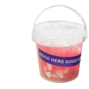500ml 750ml 1000ml Clear Round Plastic Water Buckets with Lid and Handle Leakproof Travel Barrels Pails