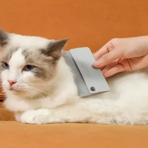 A0048 Pet Double Sided Soft Adhesive Plastic Hair Remover Lint Brush for Sofa Coat Carpet Cat & Dog Use