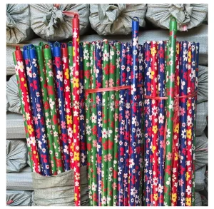 All Sizes Available PVC Coated Wooden Mop Handle with Soft Bristles Eco-Friendly Portable for Home Floor Cleaning