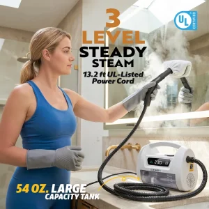 Bathroom Shower Glass Mirror Toilet Floor Steam Cleaner 3.5 Bar 1800W Supplier OEM Factory CE RoHS
