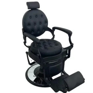 Beauty Salon Styling Chair and Barber Chair