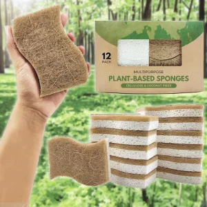 Biodegradable High Density Cellulose Sponge Coconut Fiber Kitchen Dishwashing Tableware Cleaning 750% % Water Absorption