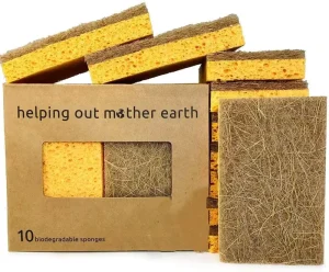 Biodegradable Natural Kitchen Sponge Eco-Friendly Compostable Cellulose Coconut Walnut Scrubber Popular Sponge Scouring Pads