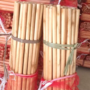 Broom and Dustpan Set Varnished Wooden Broom Stick Handle Italian Screw Mop Wooden Sticks Factory Directly Sales