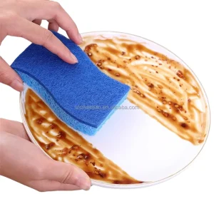 Coconut Shell Cellulose Magic Sponge Wood Pulp Sponge Compostable Sponge