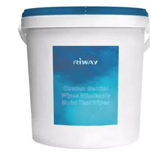 Custom Baby Wet Wipes Plastic Bucket with Lid Non-Woven Disposable Hand Mouth Cleaning Tissue OEM Private Label
