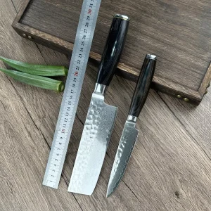 Damascus Steel VG10 Chef’s Knife with Wood Handle for Camping and Vegetable Cutting