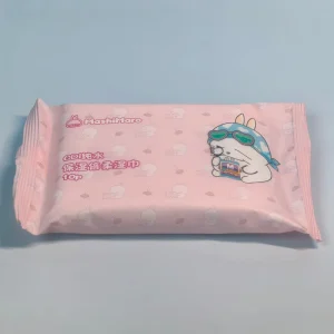 Disposable Wet Wipes 10 Piece Green Packaging Mini Packs