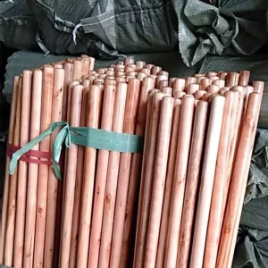 Durable Eucalyptus Wood Broomstick with Plastic Head Soft Bristles Clear Varnished Waterproof Eco Friendly for Floor Cleaning