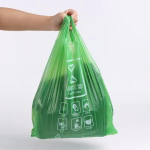 Eco Friendly Recyclable Biodegradable Compostable Vacuum Bag Gravure Printing Customized Size Color for Kitchen