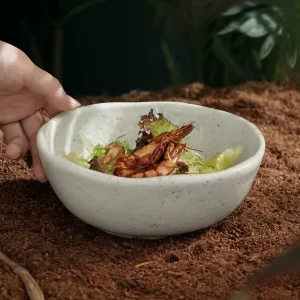 Factory Direct Reactive Green Glaze Japanese Irregular Ceramic Serving Bowl for Soup and Ramen, Restaurant Use