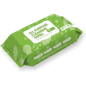 Factory Made Disposable Car Window Glasses Cleaning Stain Remover Wet Wipes All Purpose Car and Home Cleaning Wipes