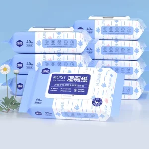 Factory Supply Eco friendly Disposable Wet Wipes Collapsible Pure Water Disposable Wet Toilet Paper