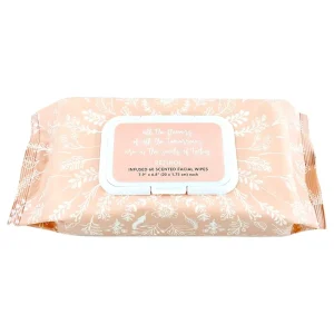 High Quality Disposable Makeup Facial Cleaning Wipes Non woven Facial Private Label Facial Wipes