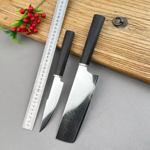 Home-Use Fruit and Slicing Knife with Wood Handle, 67-Layer Damascus VG10 Steel