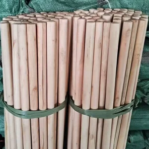 Household Broom and Dustpan Set Wooden Sticks 22mm Boomstick Natural Mop Wooden Handle Household Items