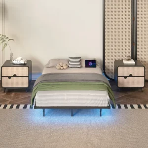 Iron Metal Bed Frame with Twin, Full, King and Queen Size Options
