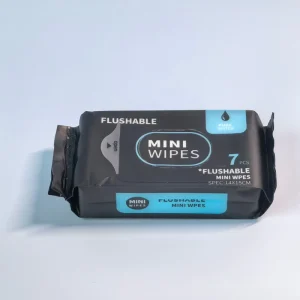 Mini Organic Flushable Wet Wipes Fragrant Face Wipes for Cleaning OEM Household Use