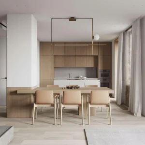Modern Kitchen Cabinets with Optional Accessories for Small Apartments