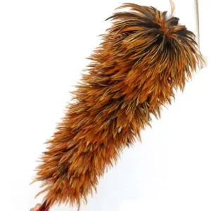 Natural Color Ostrich Feather Duster with Wood Handle 65cm Customizable Length