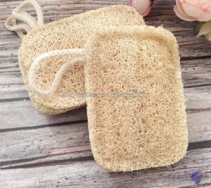 Natural Farm Loofah with Wooden Handle Cup Brush Hanging Loofah Pulp for Kitchen Cleaning Scouring Pad Reusable Old Loofah