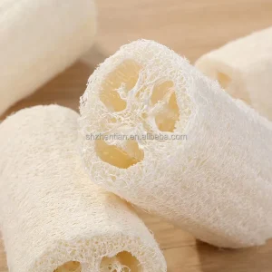Natural Farm Loofah with Wooden Handle Cup Brush Hanging Loofah Pulp for Kitchen Cleaning Scouring Pad Reusable Old Loofah
