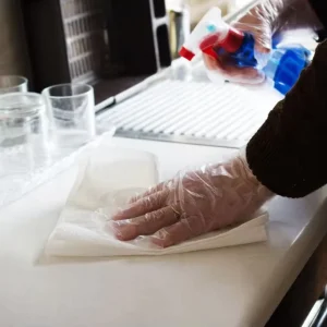 OEM Factory Supply 100 Pcs Disposable Poly Gloves for Household Cleaning Kitchen Janitorial