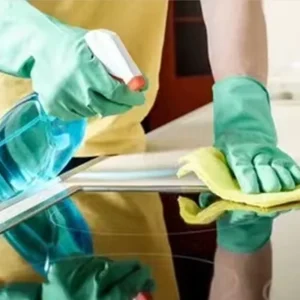OEM Glove Household Rubber Gloves for Cleaning Guantes De Latex Spray Flock Linre Green Luvas Guantes CE 2121
