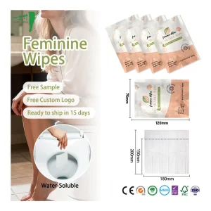 OEM ODM Eco Friendly Disposable Flushable Non Woven Single Wet Wipes Individually Wrapped Feminine Toilet Cleansing Wipes CE