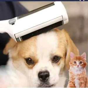 OEM ODM Lint Rollers Brush Remover Removing Pet Hair From Couch Clothes Furniture Carpet for Dogs and Cats