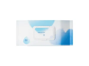 Premium Antibacterial Disposable Wipes 80 Alcohol Free Gentle And Convenient Cleansing Wipes For Freshness And Hygiene Anytime
