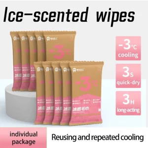 Private Label Neck Hanging Disposable Non Woven Eco friendly Refreshing Menthol Ice Cooling Body Wet Wipes