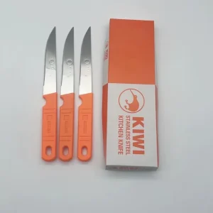 Small Stainless Steel Fruit Peeling Knife with PP Handle