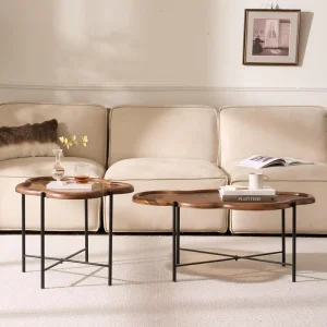 Solid Wood Multifunctional Tea and Coffee Table