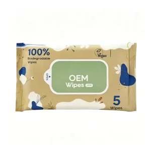 Travel sized Individually Packaged Disposable Cleaning Wipes for Carrying Around with You